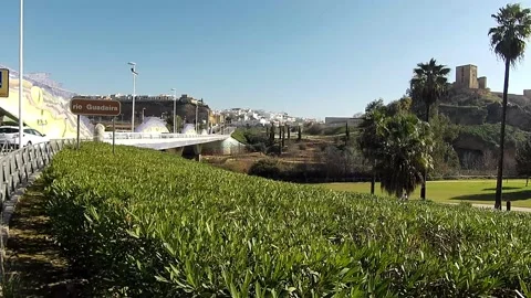 View of the Dragon Bridge Stock Footage 168906263