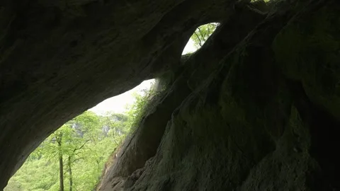 View from the dragon cave in green spring forest nature Stock Footage 292828579
