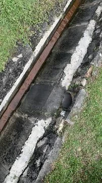 View a drain on the side of the road Stock Photos