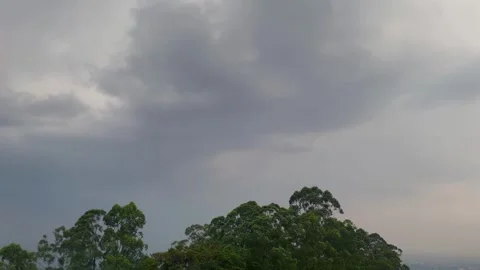 View of a dramatic cloudy sky at dusk above the treetops. Stock Footage 320501761
