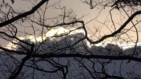 View of dramatic rainy cloud motion among empty tree branch sunlight rays bright Stock Footage 81975411