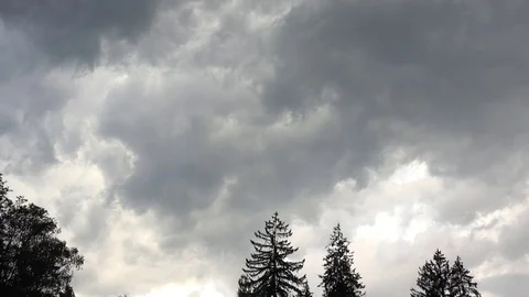 View of dramatic stormy clouds motion over fir forest tree rain storm cloud pass Stock Footage 81966123