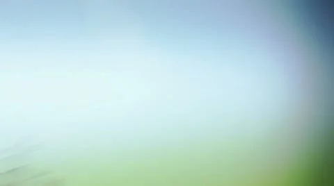 View from driving car Stock Footage 7729984