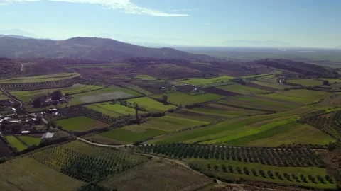 View from drone beautiful, green fields Stock Footage 148669489
