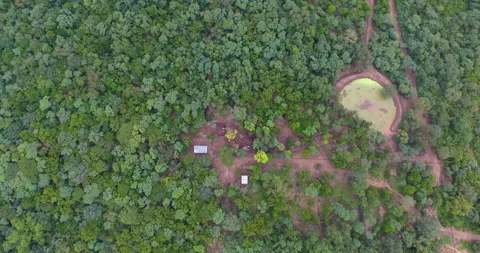 View with Drone of Cattle Barn Stock Footage 156468018