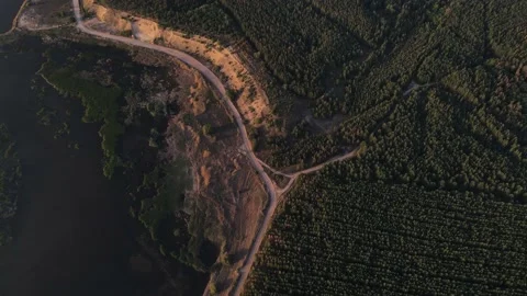 A view from a drone of a dirt track with a forest on one side and swamps on the Video stock 161390464