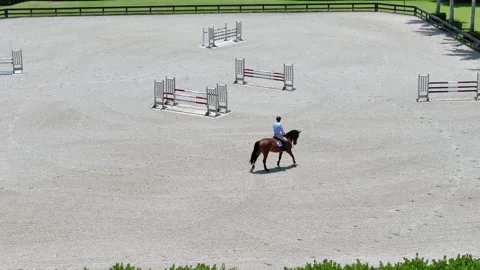 View from drone of experienced jockey developing bond with thoroughbred Stock Footage 245629205