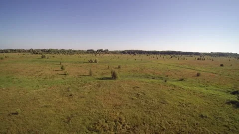 View from the drone. Field, steppe, hills, mounds, ravines, trees. Видео 149296989