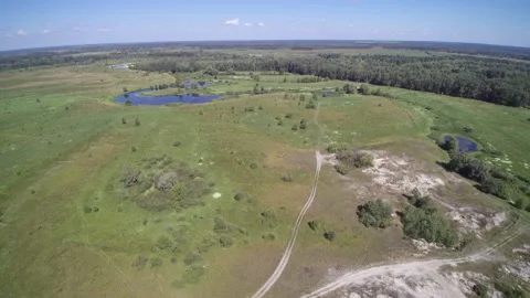 View from the drone. Field, steppe, hills, mounds, ravines, trees. Видео 149296994