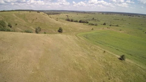 View from the drone. Field, steppe, hills, mounds, ravines, trees. Видео 149297039