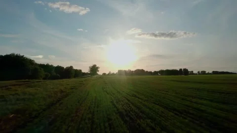 View from a drone flying low and fast over a green field at sunset. Stock Footage 331977610