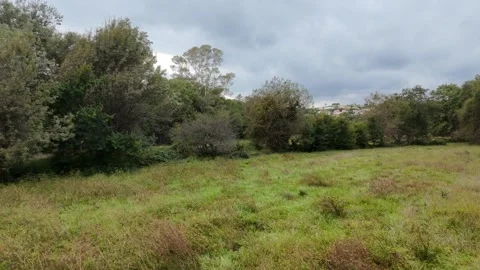 View from a drone flying low over a meadow and then rising higher Stock Footage 327678325