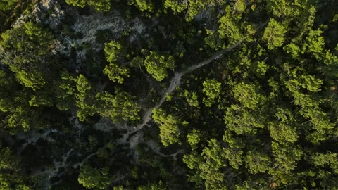 View from drone Stock Footage 226945990