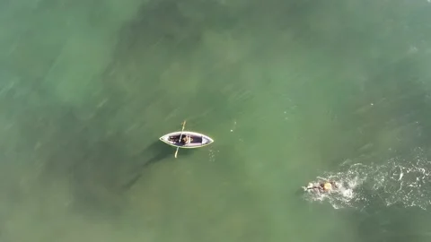 View from a drone of a kayak and a trained swimmer in the sea on a beach in A Stock Footage 153333451