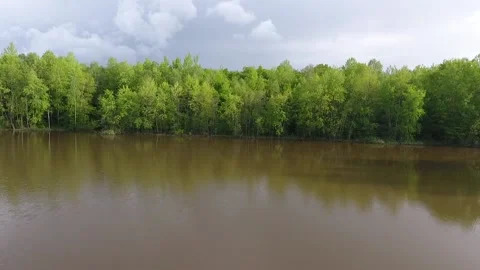 View from the drone. The lake in the forest. Climbing over the forest Stock Footage 162179430