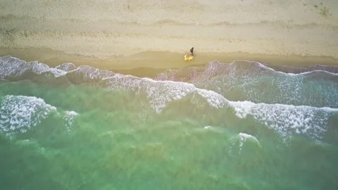 View from the drone, a man with a dog walking along the sea, at sunset Stock Footage 153627783