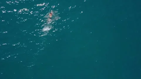 View from the drone: a man is swimming crawl in the sea. A swimmer in the water Stock Footage 159115459