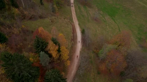 View from the drone of the mountains in autumn. Stock Footage 220676316