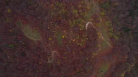 View from the drone of the mountains in autumn. Stock Footage 220676333