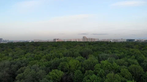 View from the drone to the Ostankino park and the Ostankino television tower Stock Footage