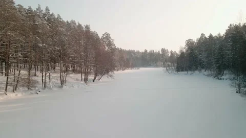 View from Drone to a pine winter forest. Pine forest on a sunny winter day Video stock 234533721