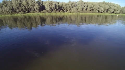View from the drone. River, forest, sun, fields. Видео 149296188