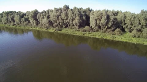 View from the drone. River, forest, sun, fields. Видео 149296579