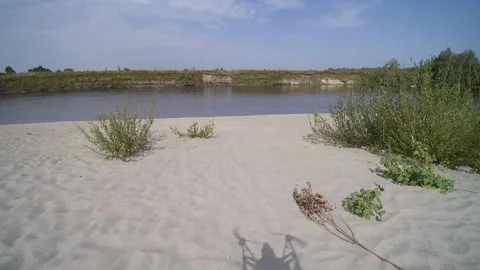 View from the drone. River, sandy beach, field, forest Stock Footage 149026734