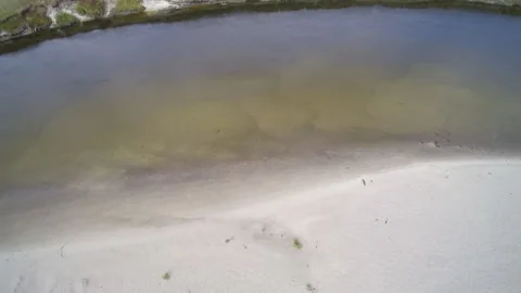 View from the drone. River, sandy beach, field, forest Stock-Footage 149026782