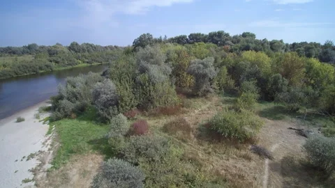 View from the drone. River, sandy beach, field, forest Stock-Footage 149026823