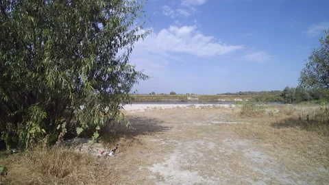 View from the drone. River, sandy beach, field, forest Stock-Footage 149026836