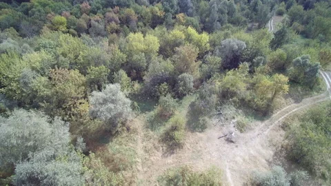 View from the drone. River, sandy beach, field, forest Stock-Footage 149026920