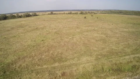 View from the drone. River, sandy beach, field, forest Stock-Footage 149026944