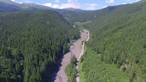 View from a drone on the road and forest Stock Footage 67385699