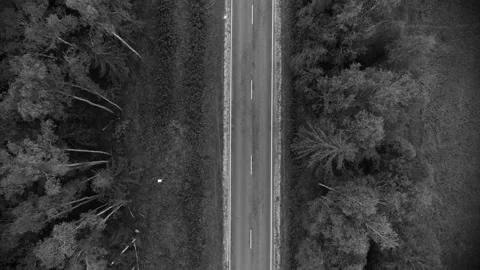 View from a drone on the road in the forest Stock Footage 234088117
