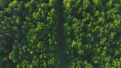 The view from the drone to the road through the forest against the background Stock Footage 197124645