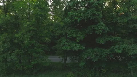 The view from the drone to the road through the forest against the background Stock Footage 197125940