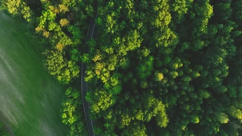 The view from the drone to the road through the forest against the background Stock Footage 197128071