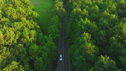 The view from the drone to the road through the forest against the background Stock Footage 197128415