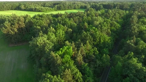 The view from the drone to the road through the forest against the background Stock Footage 197130338