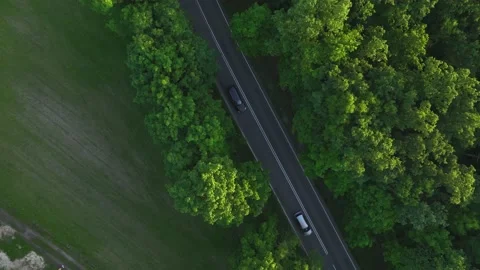 The view from the drone to the road through the forest against the background Stock Footage 197130653