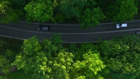 The view from the drone to the road through the forest against the background Stock Footage 197130915