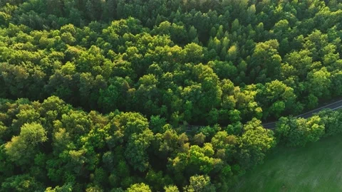 The view from the drone to the road through the forest against the background Stock Footage 197131309