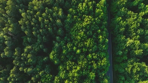 The view from the drone to the road through the forest against the background Video stock 197341038