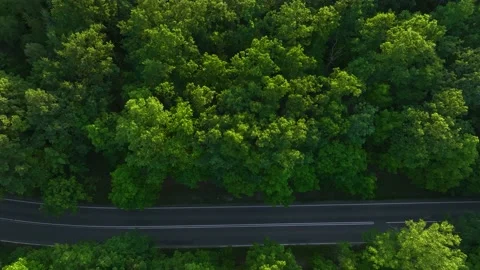 The view from the drone to the road through the forest against the background Stock Footage 197577192