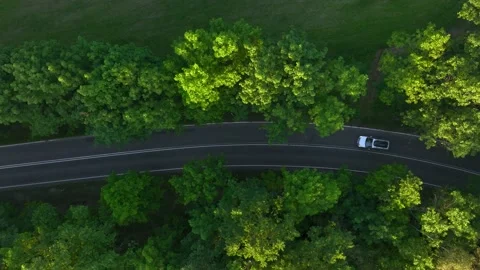 The view from the drone to the road through the forest against the background Stock Footage 197577407
