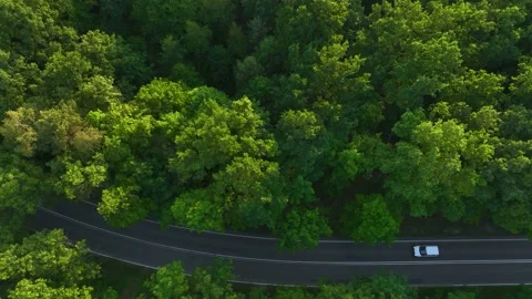 The view from the drone to the road through the forest against the background Stock Footage 198031727