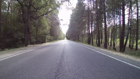 View from the drone. Road. Trees. Roadside. Summer. Video stock 149368254