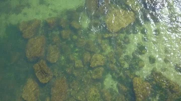 View from the drone to the sea and the diver Vidéo 85645201