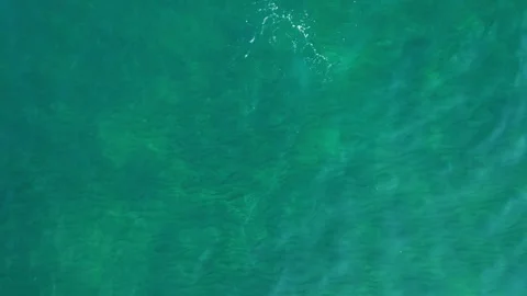 View from a drone of the sea or ocean. Video stock 255861729